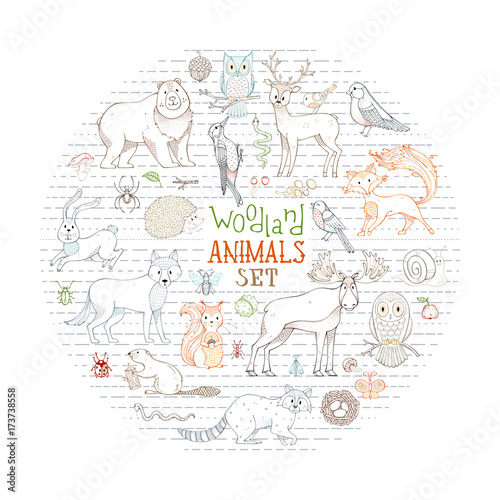 Vector woodland animals set in a circle.