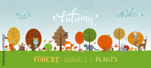 Vector autumn forest animals and plants background in cartoon style.