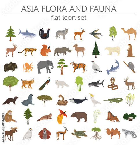 Fototapeta Naklejka Na Ścianę i Meble -  Flat Asian flora and fauna map constructor elements. Animals, birds and sea life isolated on white big set. Build your own geography infographics collection