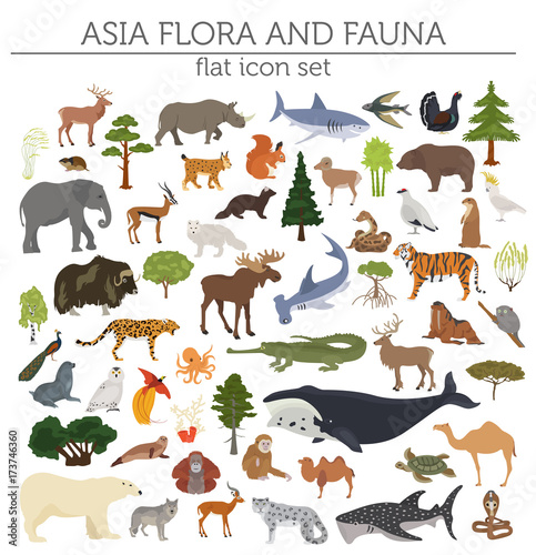 Flat Asian flora and fauna map constructor elements. Animals  birds and sea life isolated on white big set. Build your own geography infographics collection