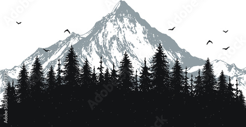 Naklejka ręcznie rysowane ilustracji wektorowych natura z góry i lasu na pierwszy widok. sylwetka krajobrazu. za pomocą do podróży i tła przyrody i karty