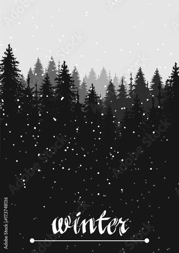 hand drawn vector nature illustration with snow fir spruce forest on first view. winter silhouette landscape. using for travel and nature background and card