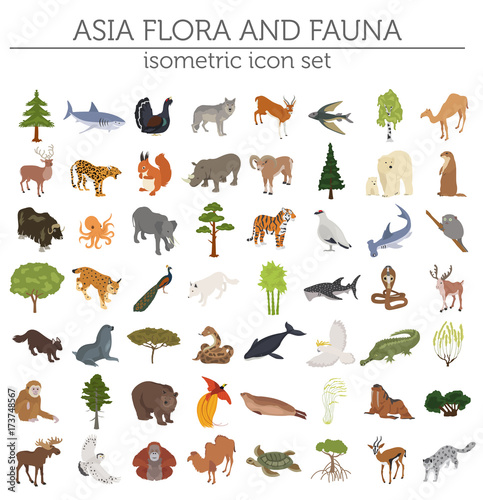 Isometric 3d Asian flora and fauna map constructor elements. Animals, birds and sea life isolated on white big set. Build your own geography infographics collection