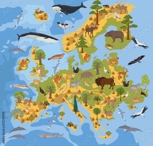 Flat European flora and fauna map constructor elements. Animals, birds and sea life isolated on white big set. Build your own geography infographics collection. Vector illustration