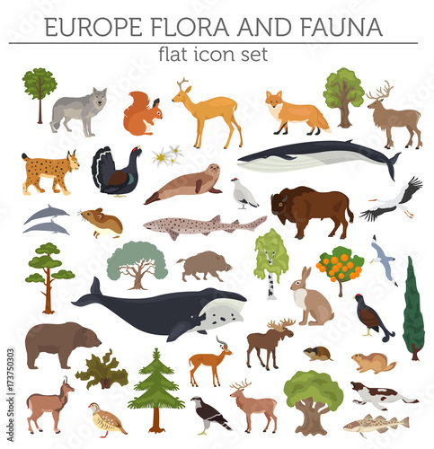 Flat European flora and fauna map constructor elements. Animals, birds and sea life isolated on white big set. Build your own geography infographics collection