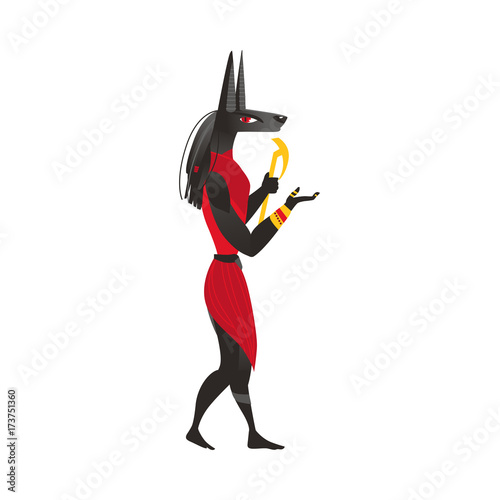 Anubis, god of afterlife in ancient Egypt religion, flat cartoon vector illustration isolated on white background. Anubis, ancient Egyptian god, flat cartoon side view full length portrait © sabelskaya