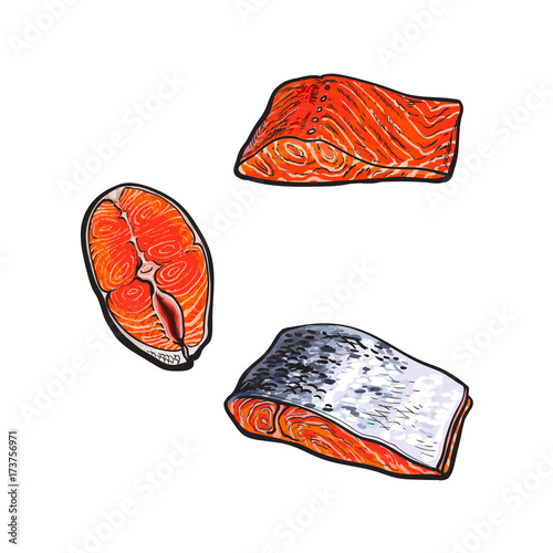 vector sketch style sea red salmon fish meat fillet steak with, without skin from top side view set. Isolated illustration on a white background. Seafood delicacy, restaurant menu decoration object