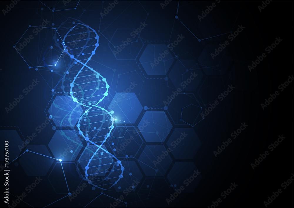 Fototapeta premium Science template, wallpaper or banner with a DNA molecules.