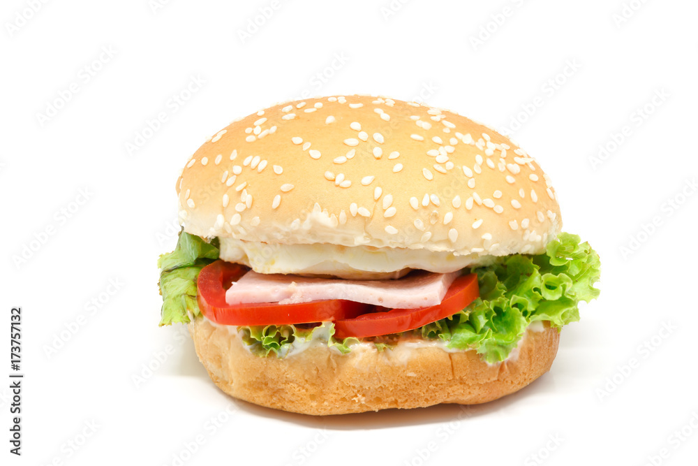 Hamburger, white background