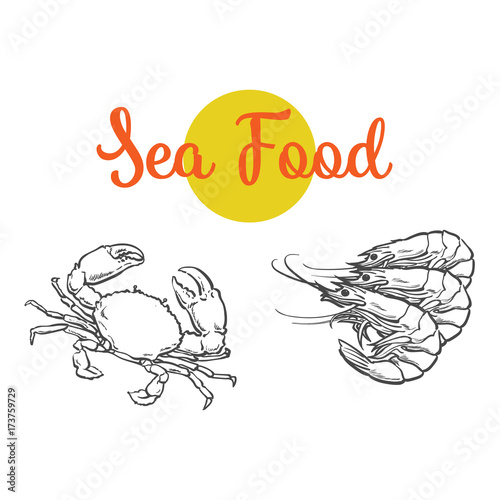 vector sketch cartoon sea crayfish lobster. Isolated illustration on a white background. Sea delicacy food concept
