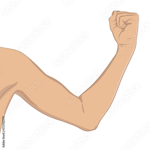 Female biceps, well toned. Elbow-bent arm showing progress after fitness. Vector illustration, colored, realistic style. Woman sport infographic concept.