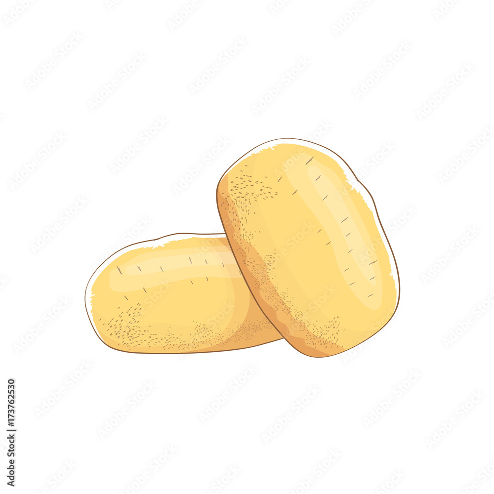 Obraz premium vector funny cartoon cute brown potatoes set isolated on white background.