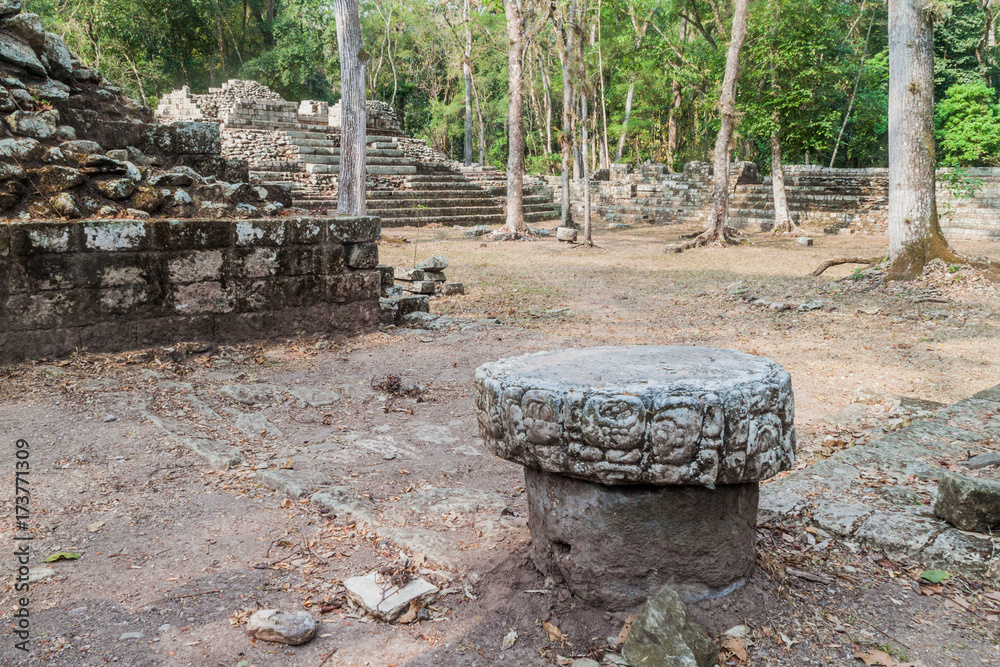 Ruins at the archaeological site Copan, Honduras Ruins at the archaeological site Copan, Honduras