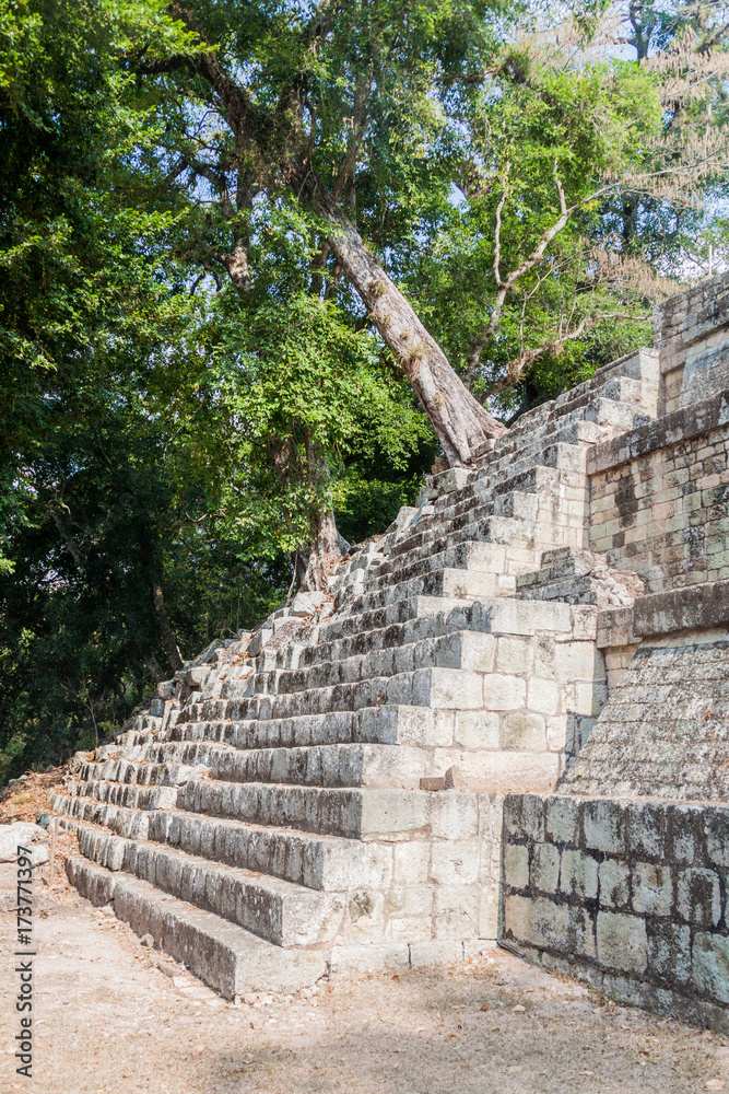 Stairway at the archaeological site Copan, Honduras