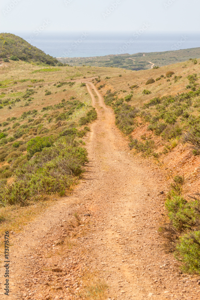 Trail to the ocean with mountains and vegetation Trail to the ocean with mountains and vegetation