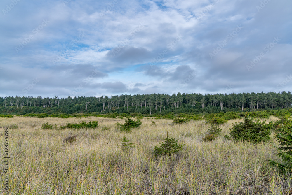 Pacific Ocean and Copalis River