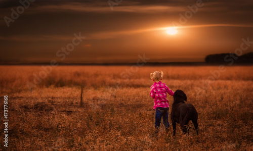 The backside of a five year old girl in pigtails wearing a pink plaid shirt and jeans standing beside a black dog in a harvested field in autumn looking off into the distance under a sunset © kat7213