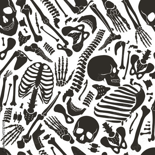 Vector human skeleton seamless pattern with skulls and other various single human parts bones.