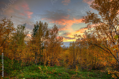 Autumn landscape.Bright sunset in the autumn forest