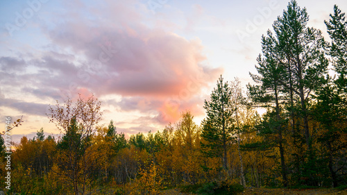 Bright sunset in the autumn forest