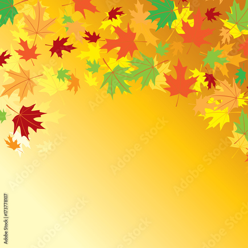 bright orange background -  vector colorful autumn leaves
