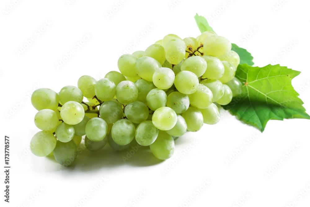 White Table Grapes isolated on white, selective focus White Table Grapes isolated on white, selective focus