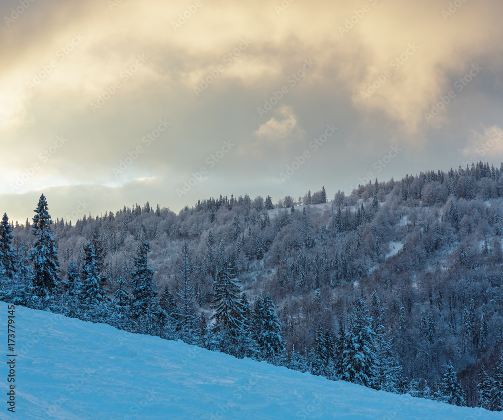 Fototapeta premium Sunset in winter Carpathians.