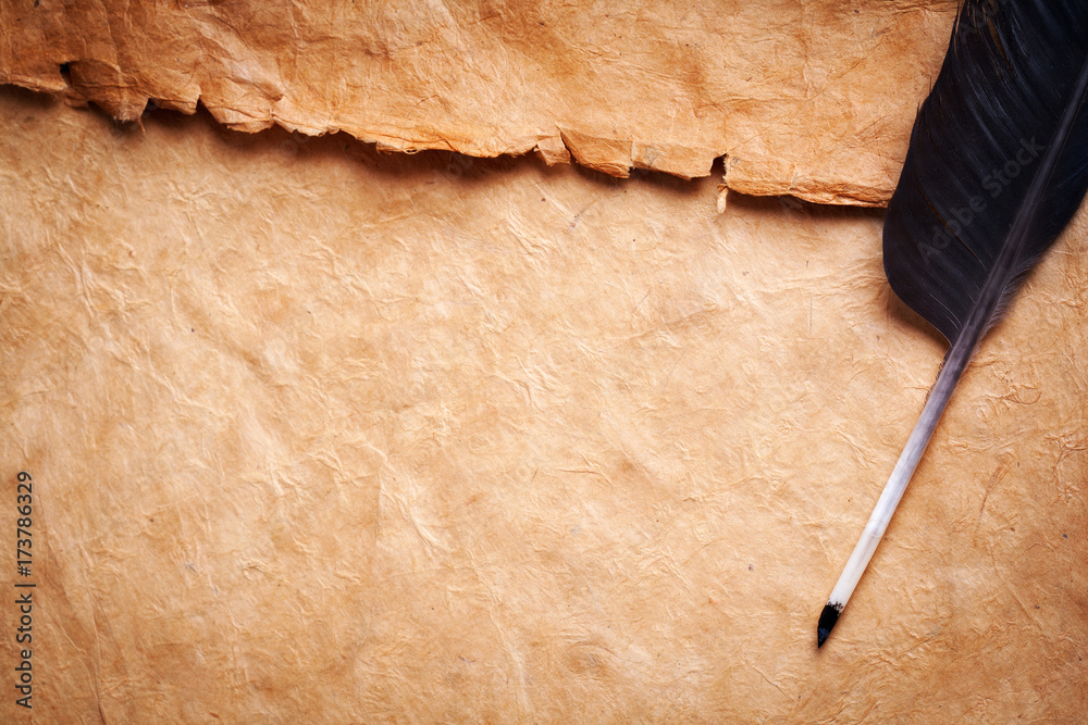 Fotografia do Stock: quill pen on antique paper scroll background | Adobe  Stock