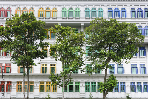 Trees in front of buildings with rainbowlike colorful windows photo