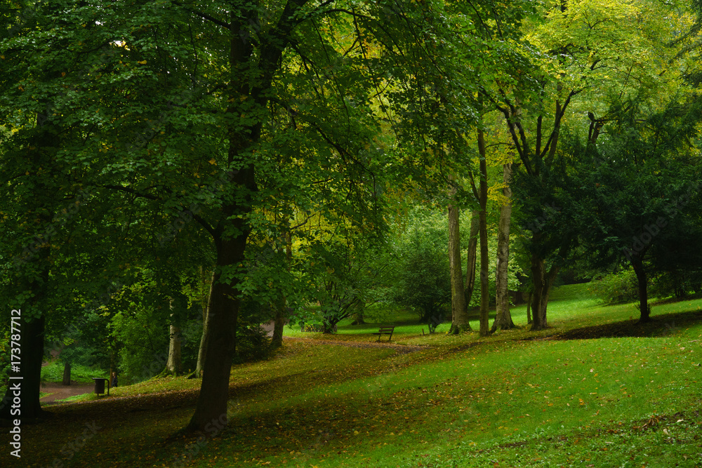 early autumn in the park 