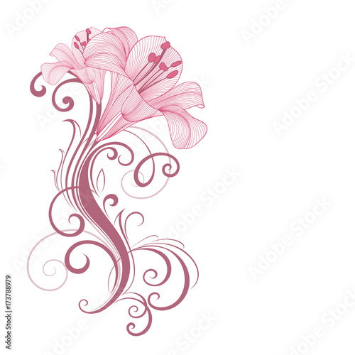 Hand-drawing floral background with flowers lily. Element for design. Vector illustration.