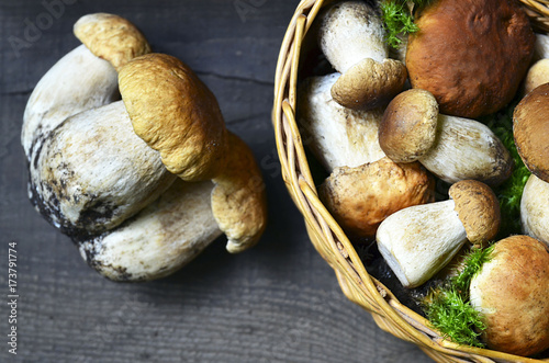 Boletus edulis mushrooms in a basket on old wooden background.Autumn Cep Mushrooms.Cooking delicious organic mushrooms.Gourmet food.Selective focus.