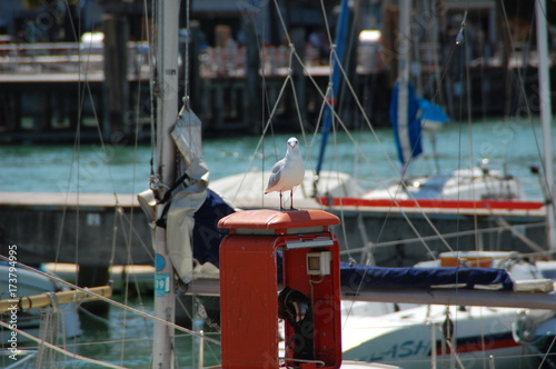 Vacation Photos Lago di Garda 2017