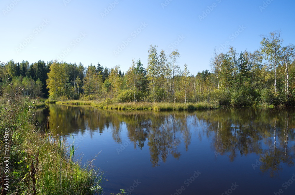 Autumn landscape with river at Sunny day