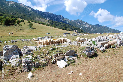 Vacation Photos Lago di Garda 2017