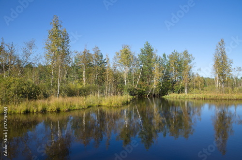 Autumn landscape with river at Sunny day