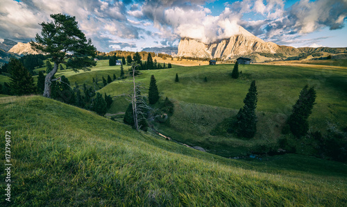 Amazing alpine meadows Alpe di Siusi (Seisser Alm) and traditional old mountain chalets. Dolomites, Alps, Italy