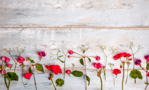 Fototapeta Naklejka Na Ścianę i Meble -  Festive flower composition with fuchsia and geranium on the blue wooden background. Overhead view.