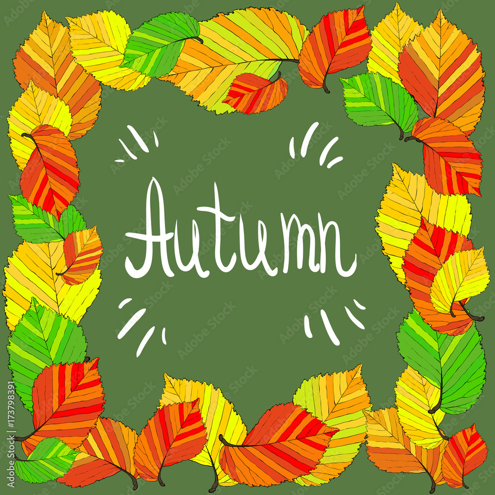 autumn leaves set, isolated . simple cartoon flat style, vector illustration.