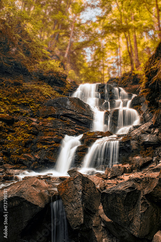 Fototapeta Naklejka Na Ścianę i Meble -  Forest river waterfall. Shepot falls, Carpathians