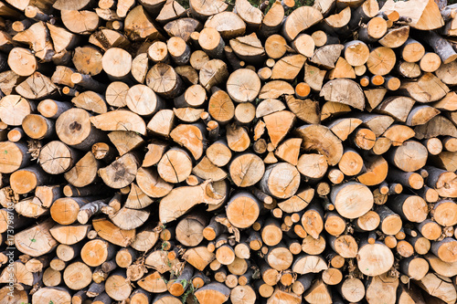 Pile Of Chopped Woods Closeup With High Contrast