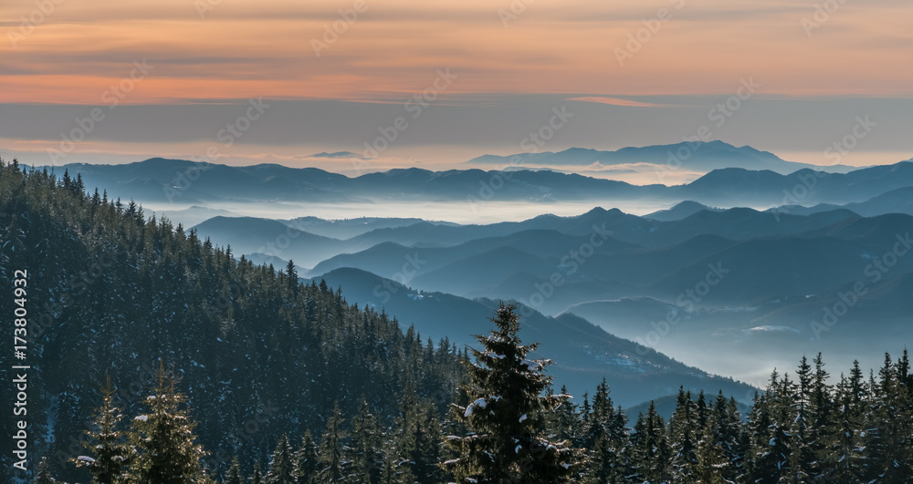 Dawn in the mountains covered with forest in the winter