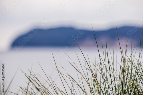 gras im fokus vor unscharfer steilk  ste in weiter entfernung