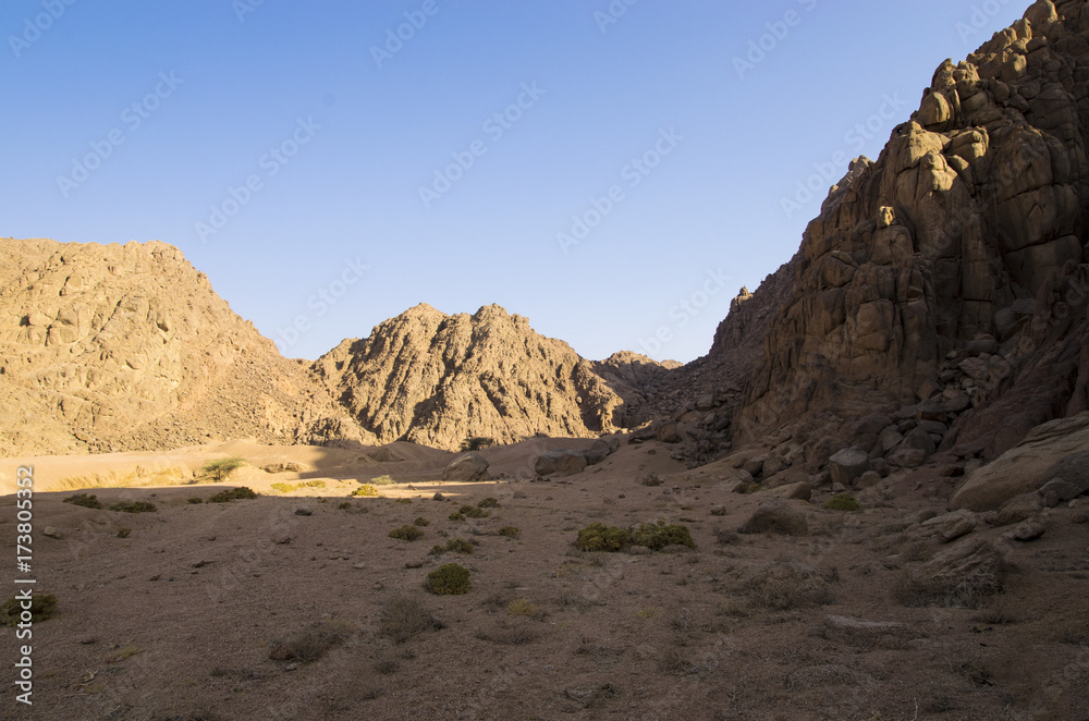 Sinai mountains at dawn, landscape