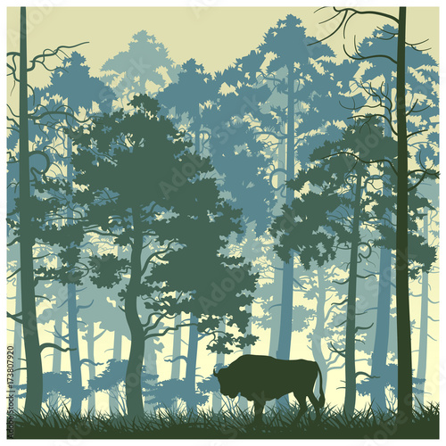 Vector nature landscape with a bison