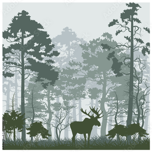 Vector nature landscape with moose