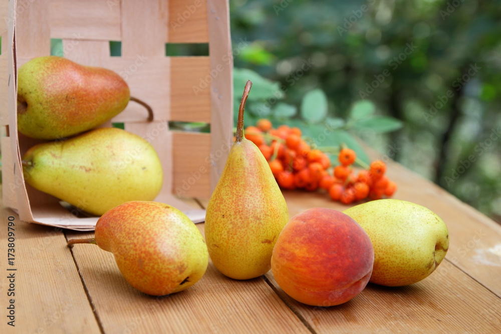 Pears, peach and rowan berries in a wooden box on a wooden table when harvesting in the forest Pears, peach and rowan berries in a wooden box on a wooden table when harvesting in the forest