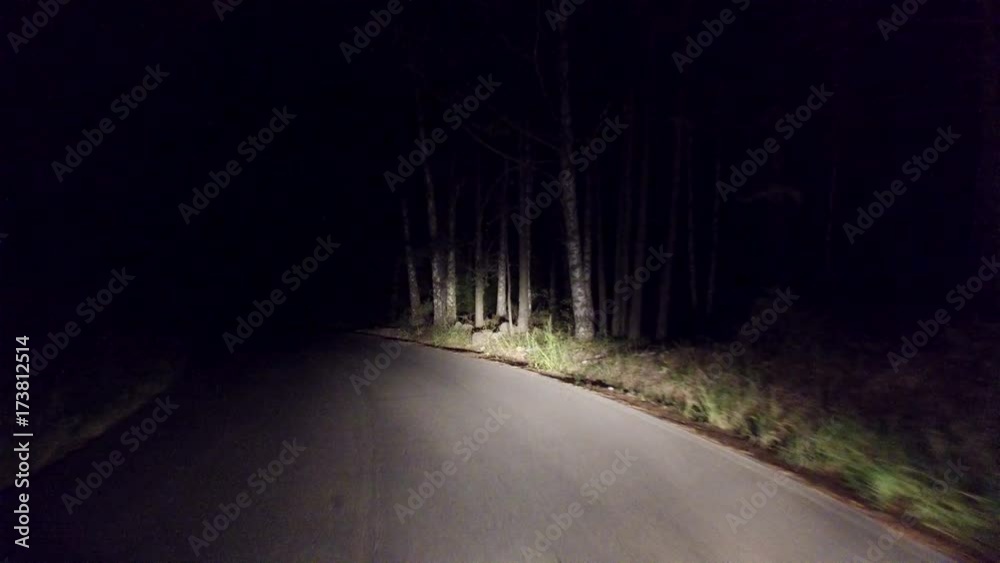 Night Drive on Rural Road in dark forest,. 