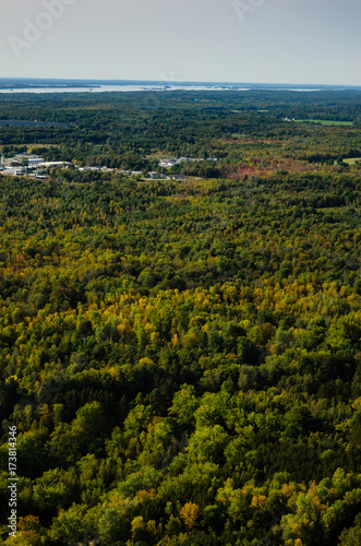 Vertical Aerial View of early fall forest looking towards the St. Lawrence River