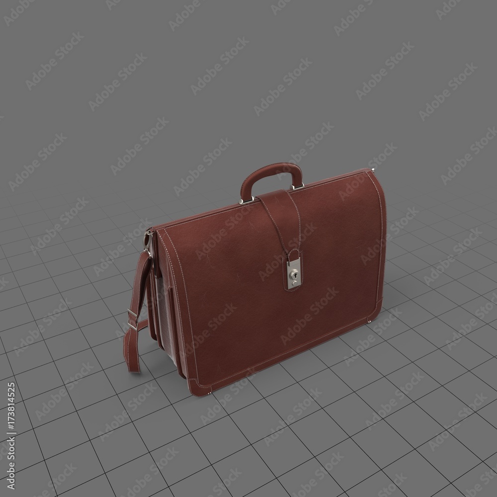 Leather accordion briefcase Stock 3D asset Adobe Stock